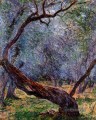 Studium der Olivenbäume Claude Monet
